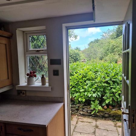 Glyn Isa Country House B&B And Self Catering Apartments 콘위 외부 사진