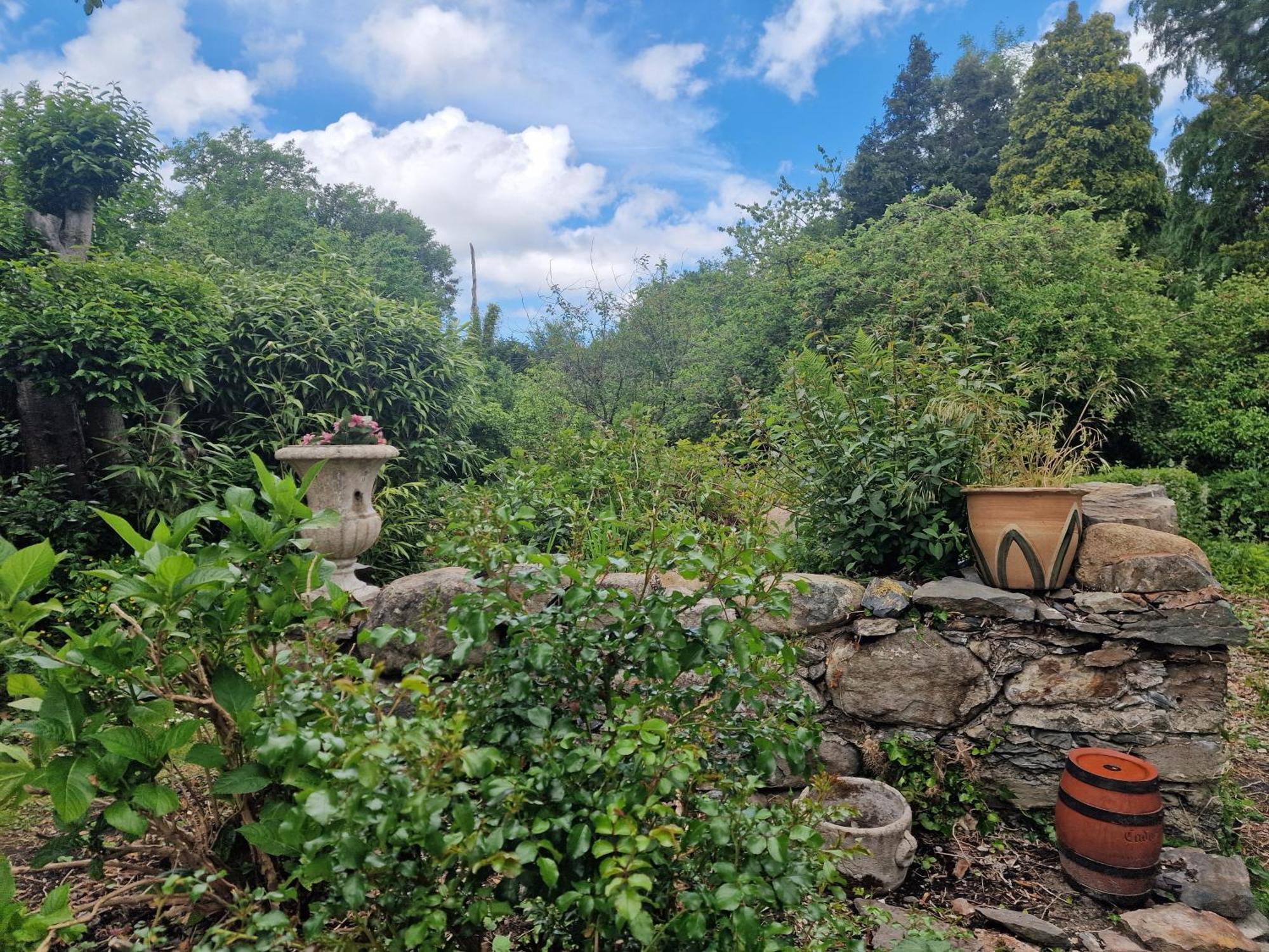 Glyn Isa Country House B&B And Self Catering Apartments 콘위 외부 사진